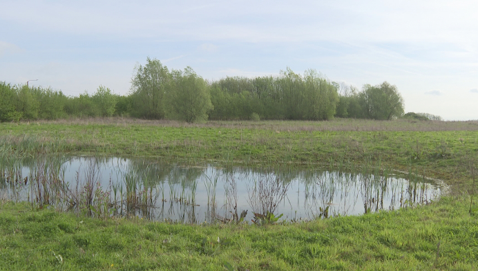 Zwalm koopt 10 hectare grond voor nieuw natuurgebied